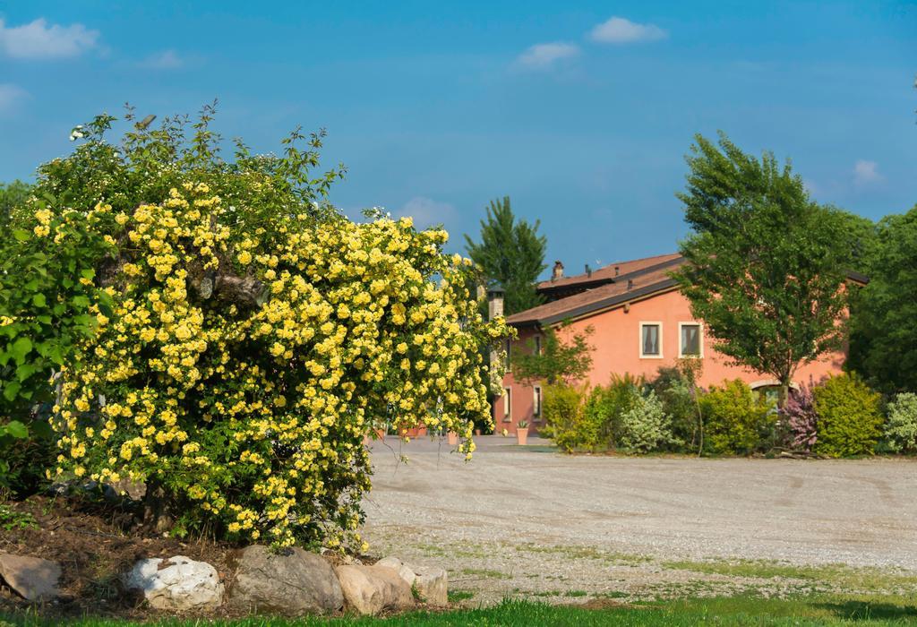 Agriturismo Corte Morandini Valeggio sul Mincio Buitenkant foto