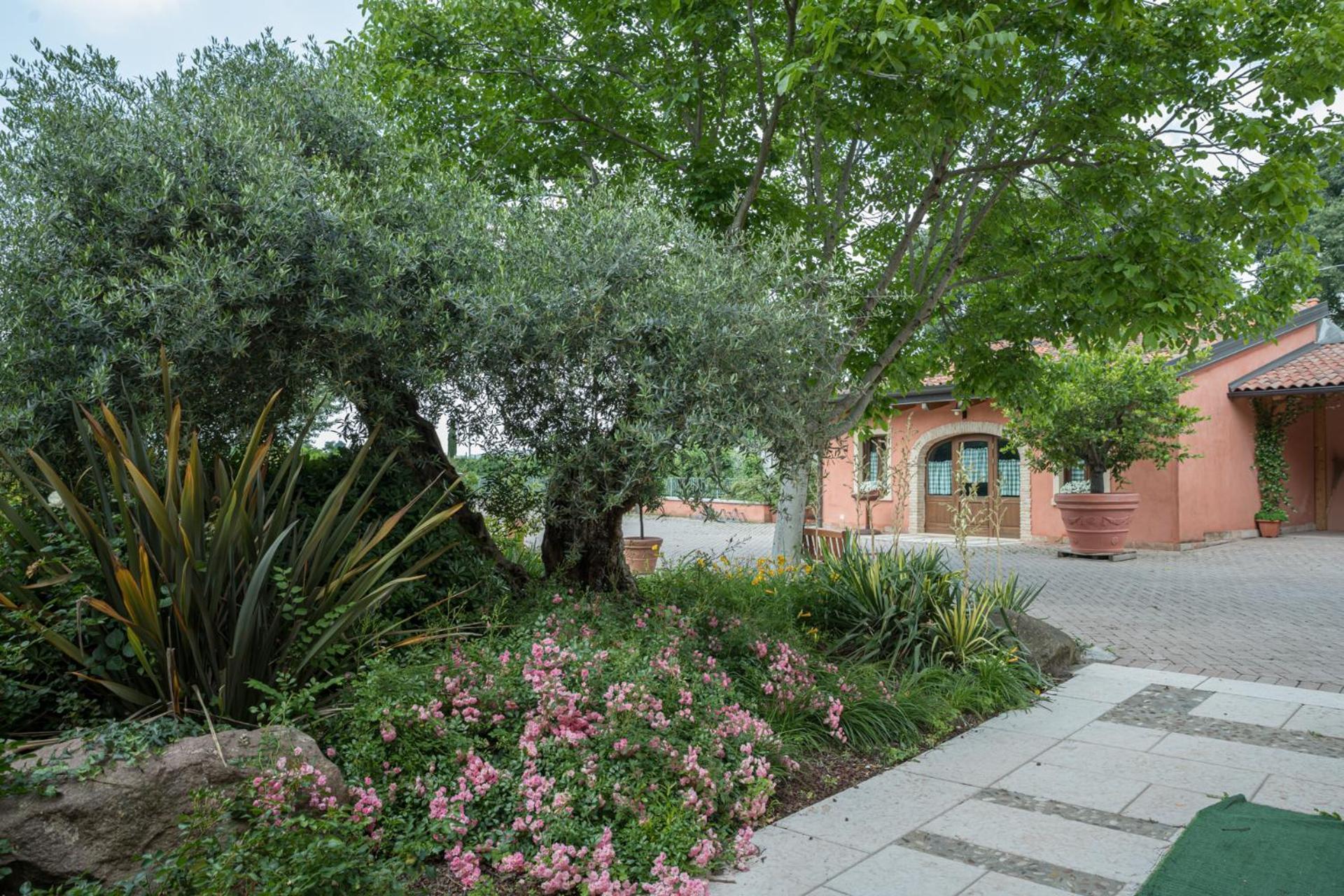 Agriturismo Corte Morandini Valeggio sul Mincio Buitenkant foto